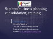 sap bpc(business planning and consolidation) training