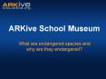 ARKive School Museum What are endangered species and       why are they endangered? PowerPoint PPT Presentation
