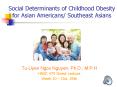 Social Determinants of Childhood Obesity for Asian Americans/ Southeast Asians PowerPoint PPT Presentation