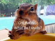 CHUNKING: What do I study?