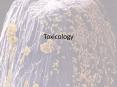 Toxicology PowerPoint PPT Presentation