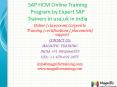 SAP HCM Online Training Program by Expert SAP Trainers in usa,uk in india PowerPoint PPT Presentation