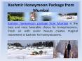 Kashmir Honeymoon Package from Mumbai PowerPoint PPT Presentation