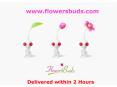 Bouquet delivery to Hyderabad PowerPoint PPT Presentation