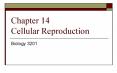 Chapter 14 Cellular Reproduction PowerPoint PPT Presentation