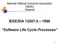 IEEE/EIA 12207.0  PowerPoint PPT Presentation