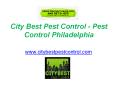 City Best Pest Control - Pest Control Philadelphia - www.citybestpestcontrol.com PowerPoint PPT Presentation