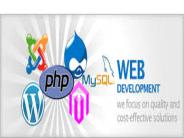 Website Development By GOIGI
