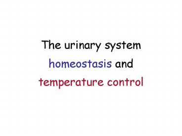 The urinary system homeostasis and temperature control