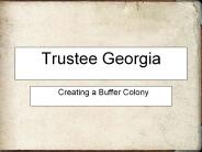Trustee Georgia