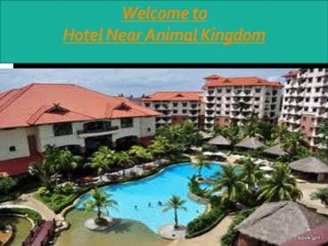 hotel near animal kingdom