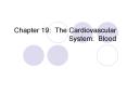 Chapter 19: The Cardiovascular System: Blood PowerPoint PPT Presentation
