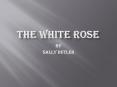 The White Rose PowerPoint PPT Presentation