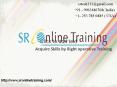 SrOnlinetraining (1) PowerPoint PPT Presentation