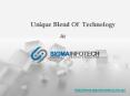 Web Development Services at Sigma Infotech PowerPoint PPT Presentation