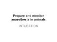 Prepare and monitor anaesthesia in animals PowerPoint PPT Presentation