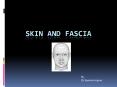 SKIN AND FASCIA PowerPoint PPT Presentation