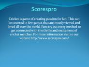 Cricket livescore