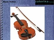 Violin lessons sutherland shire