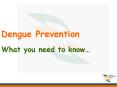 Dengue Prevention PowerPoint PPT Presentation