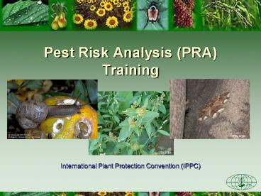Pest Risk Analysis (PRA) Training