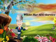White Hat SEO Service