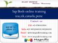 Sap Bods online training usa,uk,canada,pune PowerPoint PPT Presentation