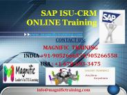 SAP ISU-CRM ONLINE Training