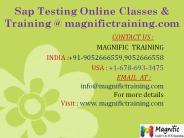 Sap Testing Online Classes & Training @ magnifictraining.com