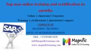 Sap mm online training and certification in austrlia