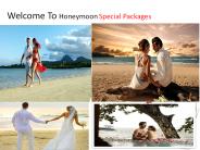 Honeymoon tour packages