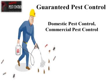 Guaranteed Pest Control