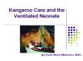 Kangaroo Care and the Ventilated Neonate PowerPoint PPT Presentation