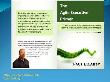 The Agile Executive Primer