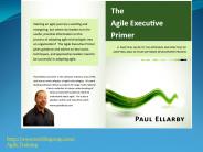 The Agile Executive Primer