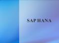 SAP HANA PowerPoint PPT Presentation
