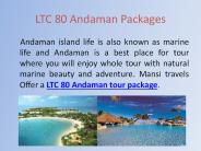 LTC South India tour travel agents