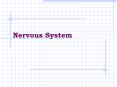 Nervous System PowerPoint PPT Presentation