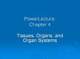 PowerLecture: Chapter 4 PowerPoint PPT Presentation
