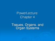 PowerLecture: Chapter 4