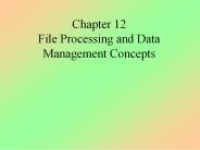 Chapter 12 File Processing and Data Management Concepts