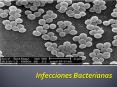 Infecciones Bacterianas PowerPoint PPT Presentation
