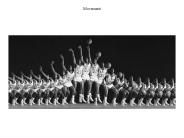 Movement