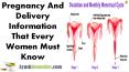 Pregnancy And Delivery Information That Every Women Must Know PowerPoint PPT Presentation