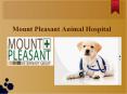 Mount Pleasant Animal Hospital PowerPoint PPT Presentation