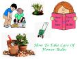 How To Take Care Of Flower Bulbs PowerPoint PPT Presentation