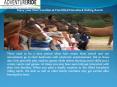 Enjoy your Next Vacation at Fun-filled Horseback Riding Ranch PowerPoint PPT Presentation