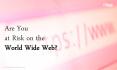 Are you at risk on the World Wide Web? PowerPoint PPT Presentation