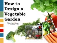 How to Design a Vegetable Garden