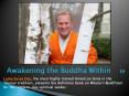 Awakening the Buddha Within PowerPoint PPT Presentation